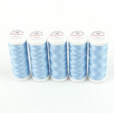 Fünf Spulen ACKERMANN® Stickgarn Stärke 40 (5 × 260 m) in der Farbe 2989 Hellblau stehen aufrecht in einer Reihe vor einem weißen Hintergrund, wobei die Etiketten auf der Oberseite jeder Spule deutlich zu sehen sind.